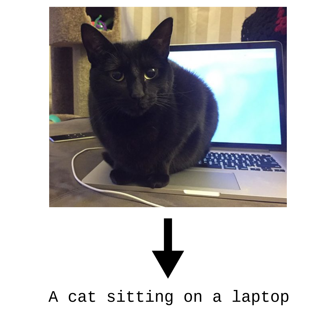 Auto Image Captioning